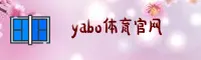 使用指南与常见问题